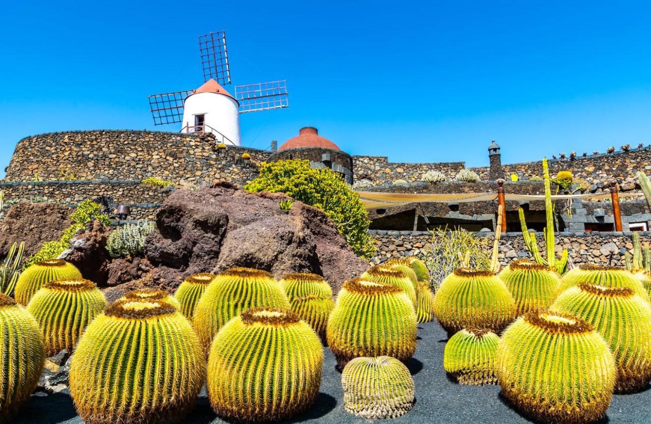 Casa Ballena Punta Mujeres エクステリア 写真
